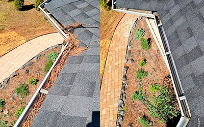Gutter Cleaning
