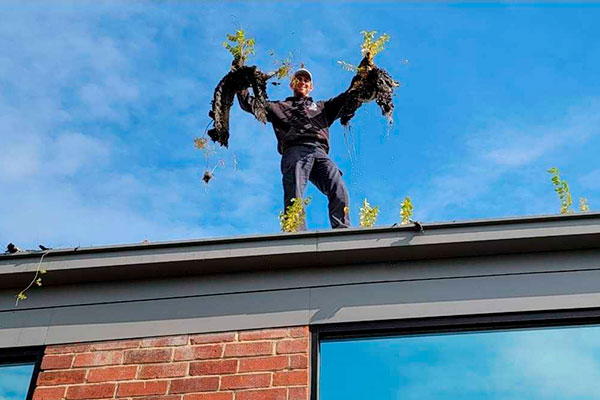 Gutter Services