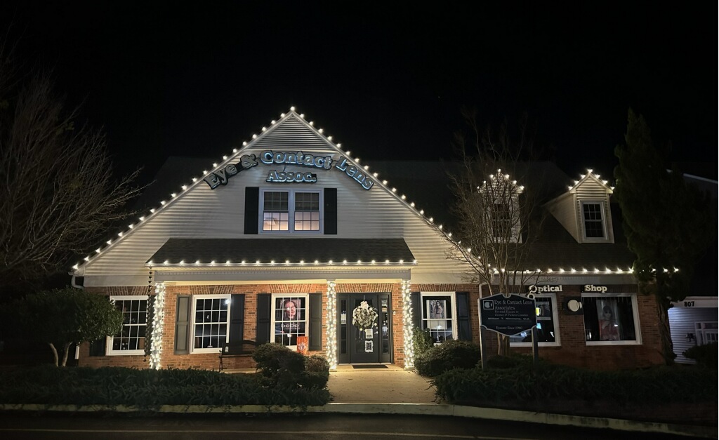Commercial building with clean, bright Christmas lights outlining the roof and entryway for a festive storefront.